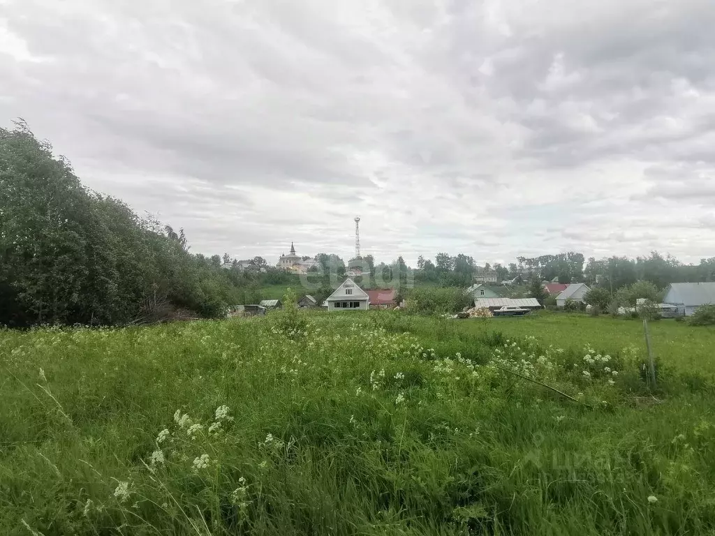Участок в Вологодская область, Череповецкий район, с. Мякса  (15.0 ... - Фото 1