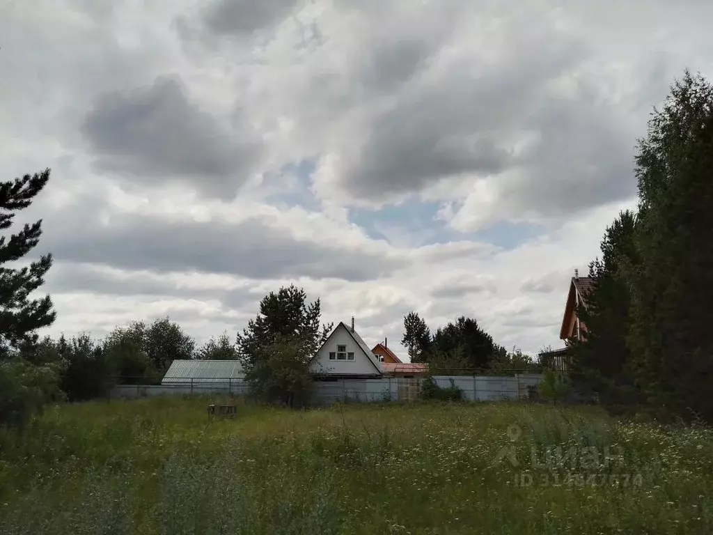 Участок в Свердловская область, Белоярский муниципальный округ, пос. ... - Фото 1