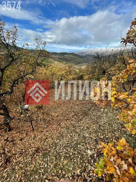 Участок в Крым, Алушта муниципальный округ, с. Приветное ул. Горького, ... - Фото 2