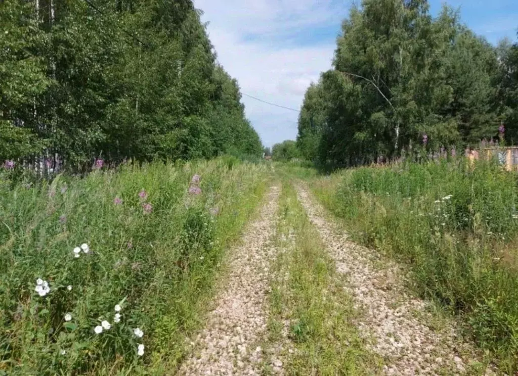 Участок в Нижегородская область, Дальнеконстантиновский муниципальный ... - Фото 2