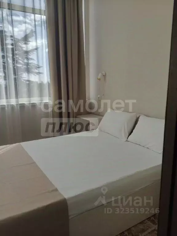 Студия Крым, Ялта муниципальный округ, Симеиз пгт ул. Владимира ... - Фото 2