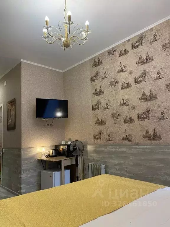 Студия Санкт-Петербург Невский просп., 136литБ (15.0 м) - Фото 2