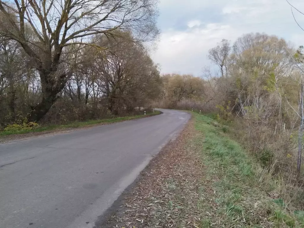 Участок в Брянская область, Карачевский район, Бошинское с/пос, с. ... - Фото 2