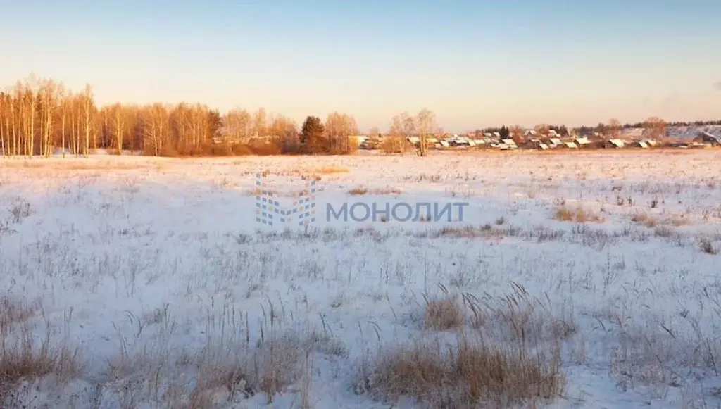 Участок в Нижегородская область, Богородский муниципальный округ, д. ... - Фото 2