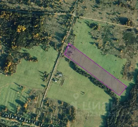 Участок в Владимирская область, Александровский муниципальный округ, ... - Фото 1