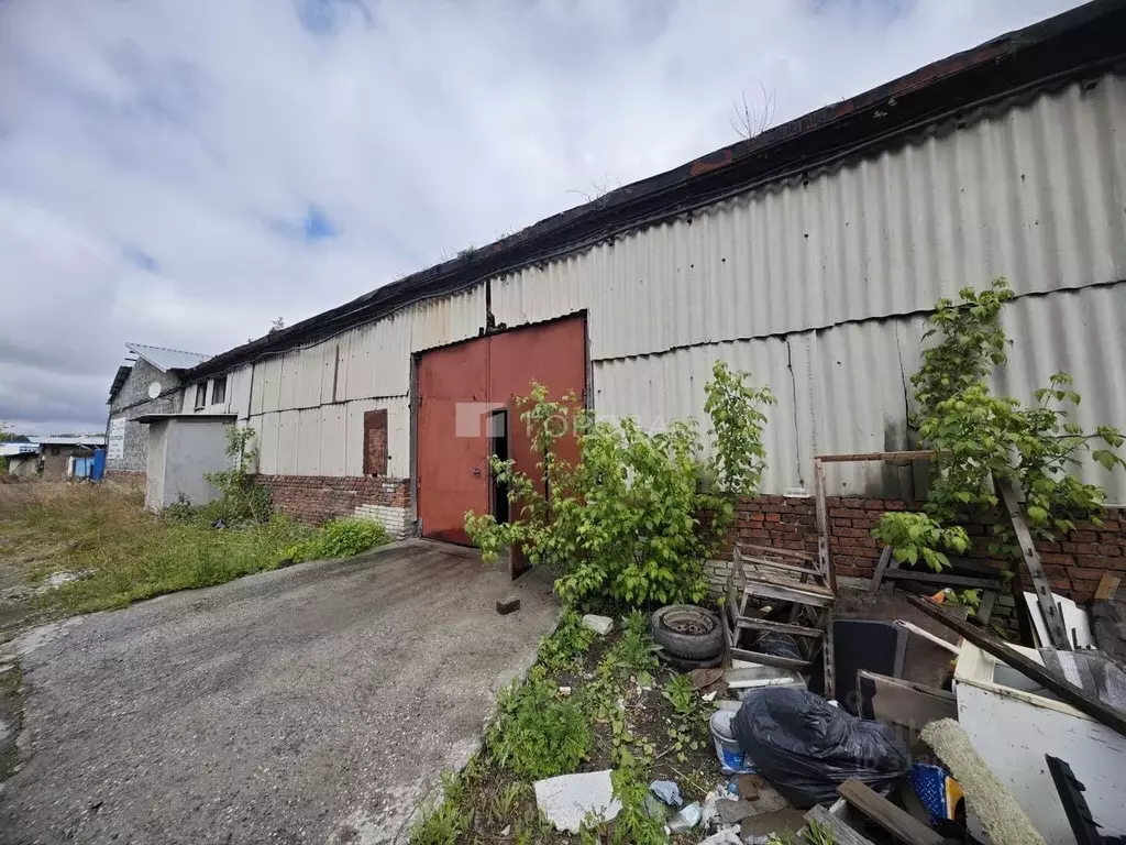 Склад в Новосибирская область, Новосибирск ул. Королева, 40к29 (300 м) - Фото 1