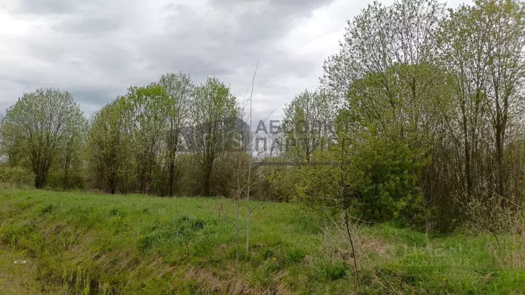 Участок в Новгородская область, Новгородский район, Ермолинское с/пос, ... - Фото 2