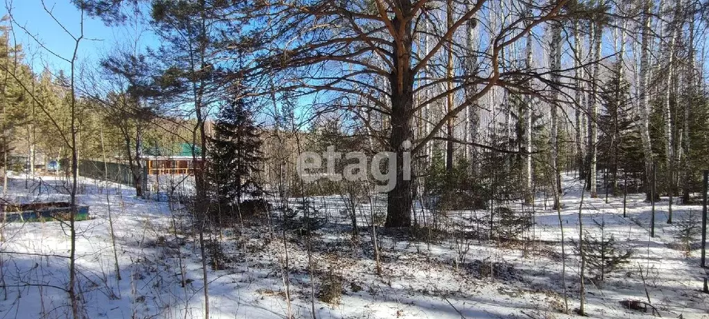 Дом в Красноярский край, Емельяновский район, пос. Минино  (60 м) - Фото 1