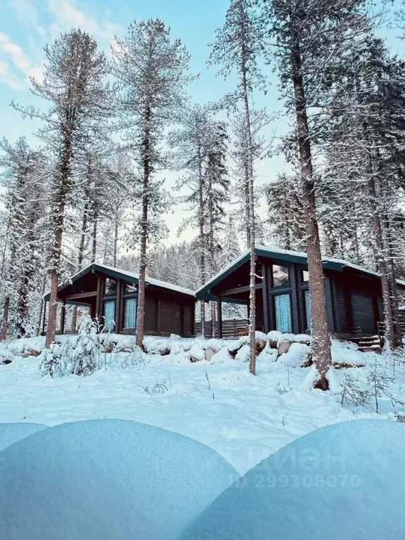 Дом в Алтай, Турочакский район, с. Артыбаш пер. Еловый, 11 (40 м) - Фото 1