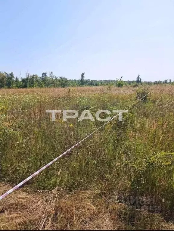 Участок в Воронежская область, Новоусманский район, Усманское 1-е ... - Фото 2
