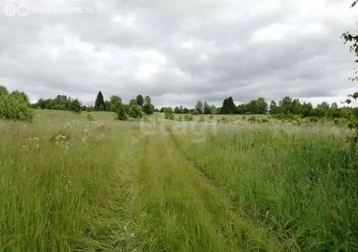 Участок в Костромская область, Чухломское сельское поселение, деревня ... - Фото 1