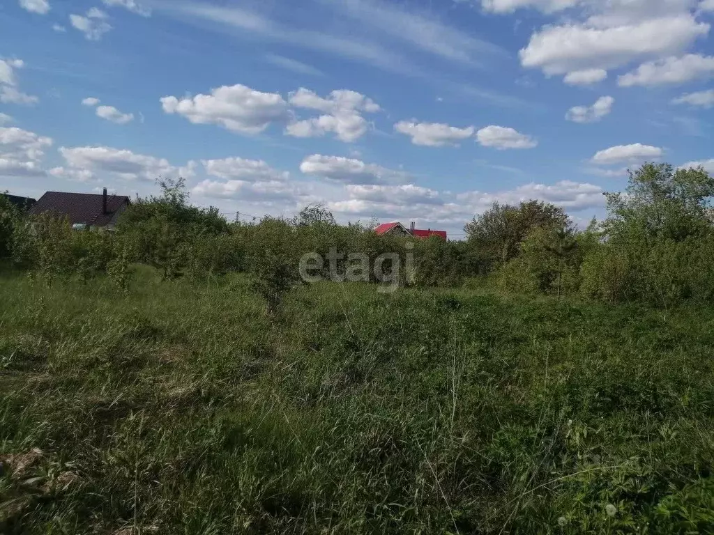 Участок в Воронежская область, Новоусманский район, ... - Фото 1