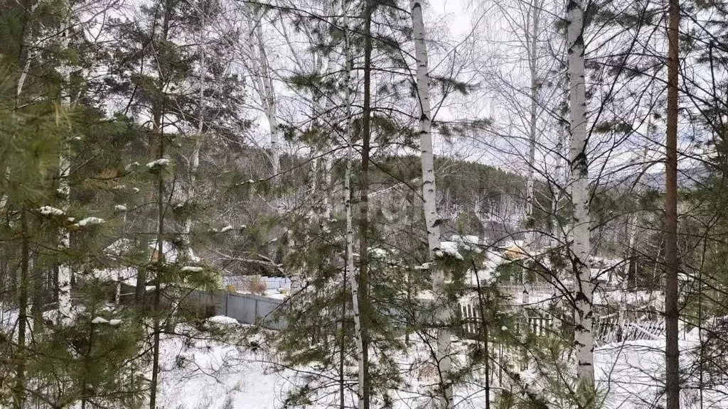 Участок 8 сот. (СНТ, ДНП) - Фото 0