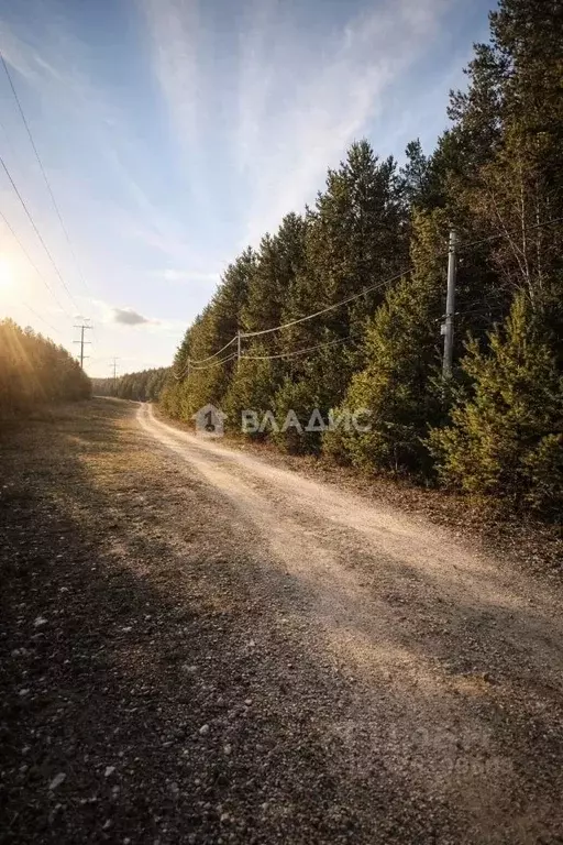 Участок в Иркутская область, Иркутский муниципальный округ, Маркова рп ... - Фото 1