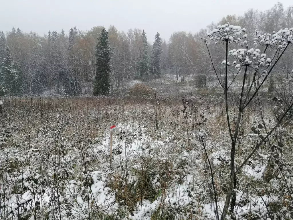 Участок в Томская область, Томский район, Богашевское с/пос, д. ... - Фото 2