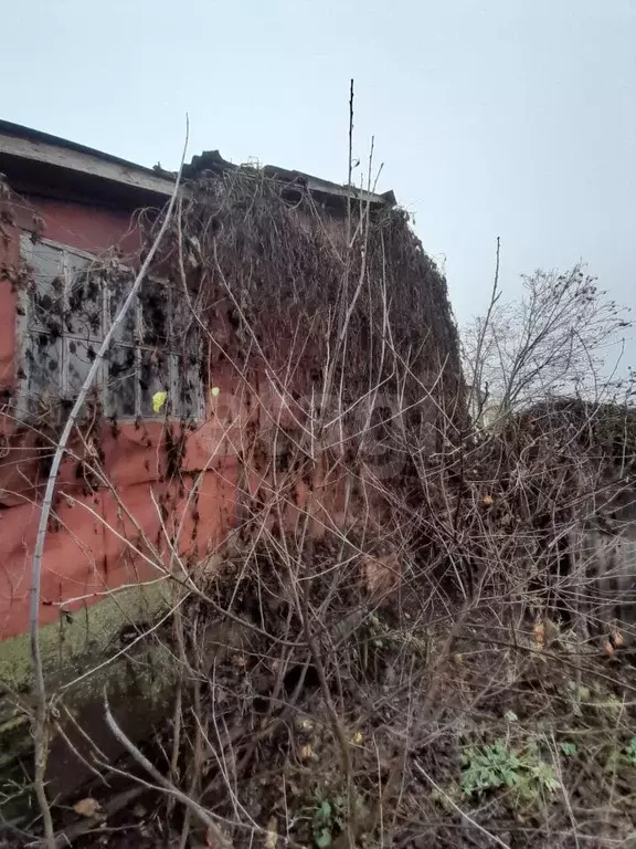 Дом в Саратовская область, Балашовский район, с. Тростянка ул. Ленина, ... - Фото 2