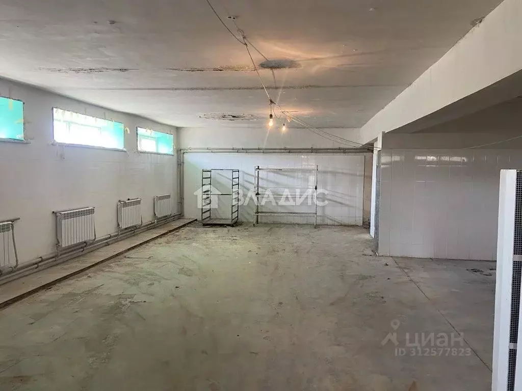 Помещение свободного назначения в Нижегородская область, Богородский ... - Фото 0