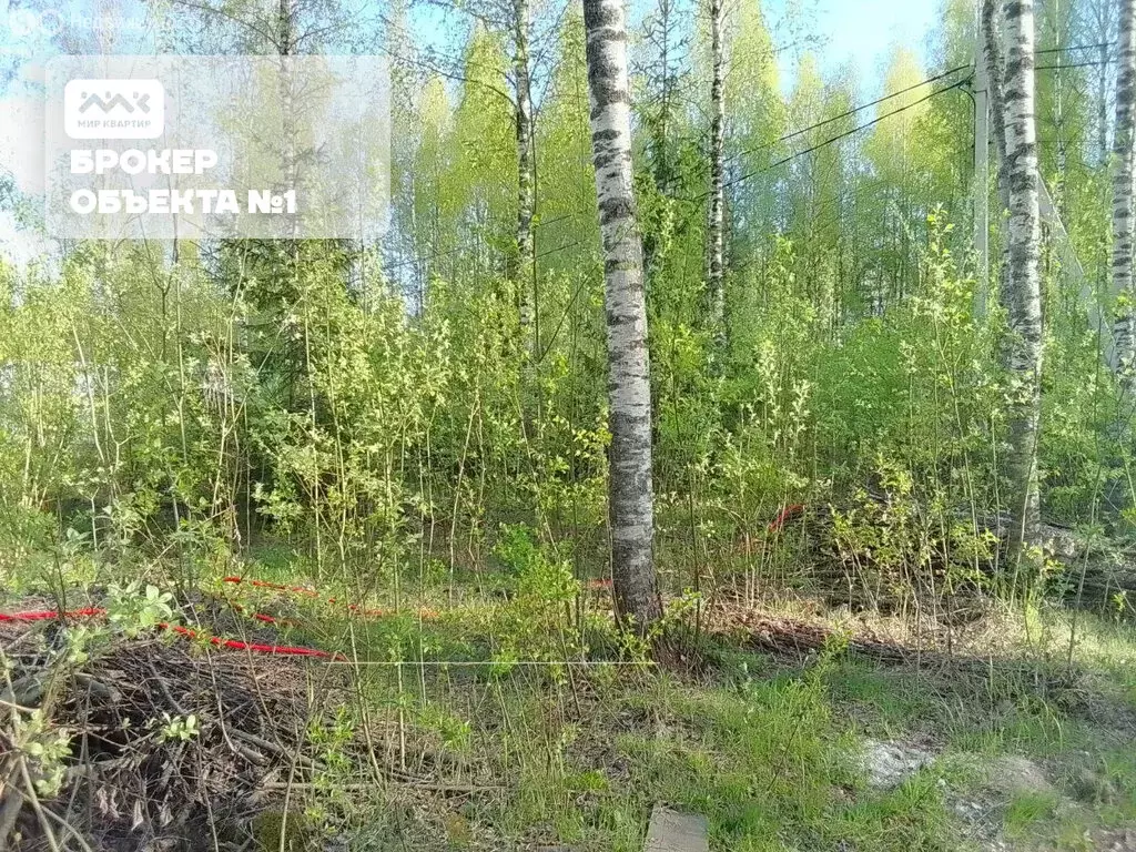 Участок в Всеволожск, Радужная улица, 30 (6.5 м) - Фото 1