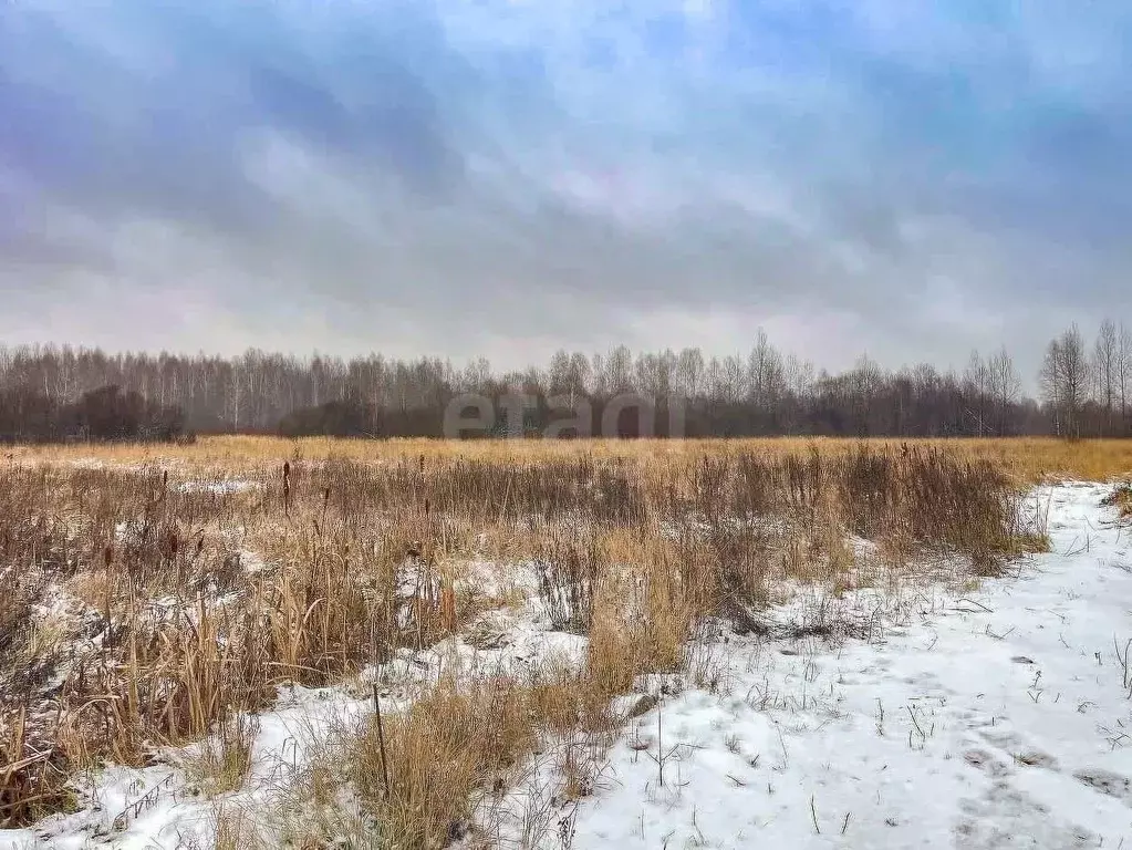 Участок в Ярославская область, Ярославский муниципальный округ, ... - Фото 1