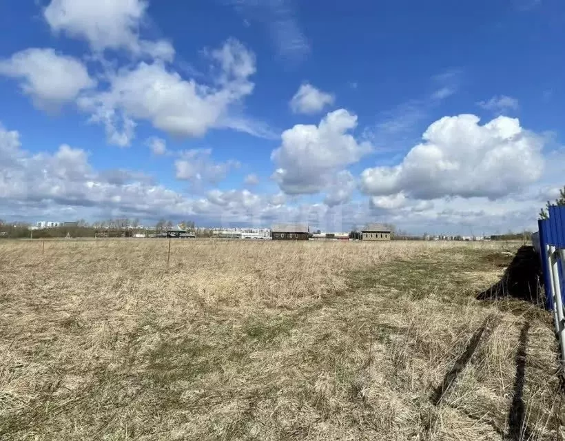 Участок в Вологодская область, д. Емельяново, Осаново садовое ... - Фото 2