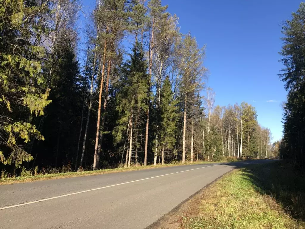 Дом в Псковская область, Псковский район, Карамышевская волость, ... - Фото 2