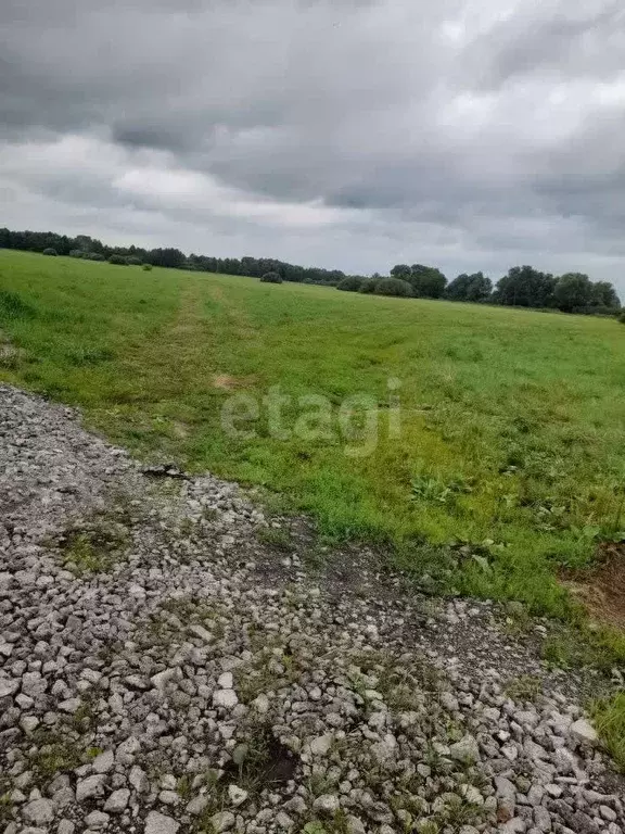 Участок в Воронежская область, Новоусманский район, с. Орлово ул. ... - Фото 1