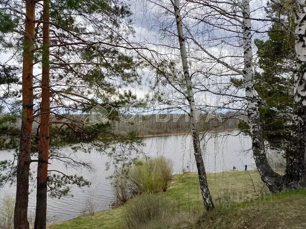 Участок в Тюменская область, Нижнетавдинский муниципальный округ, ... - Фото 2