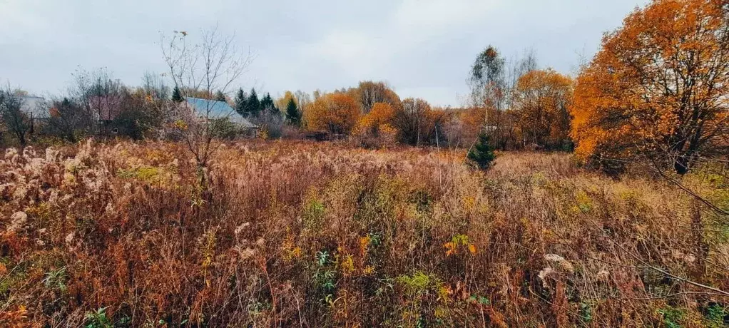 Участок в Нижегородская область, Богородский муниципальный округ, д. ... - Фото 0