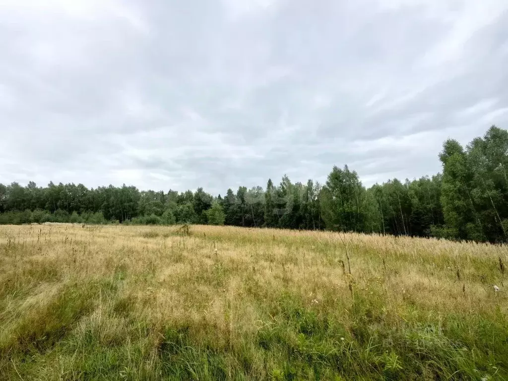 Участок в Костромская область, Красносельский район, Шолоховское ... - Фото 1