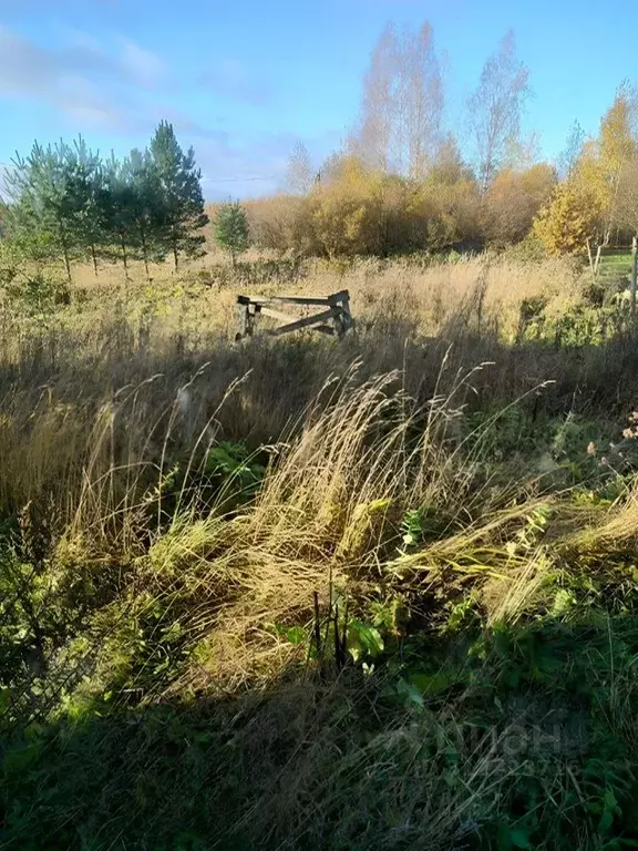 Участок в Ленинградская область, Тосно г. Тосненский район, Тосненское ... - Фото 1