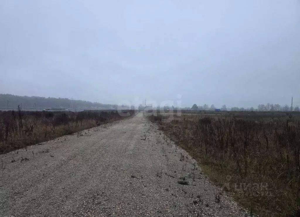 Участок в Брянская область, Брянский район, Новодарковичское с/пос, д. ... - Фото 1