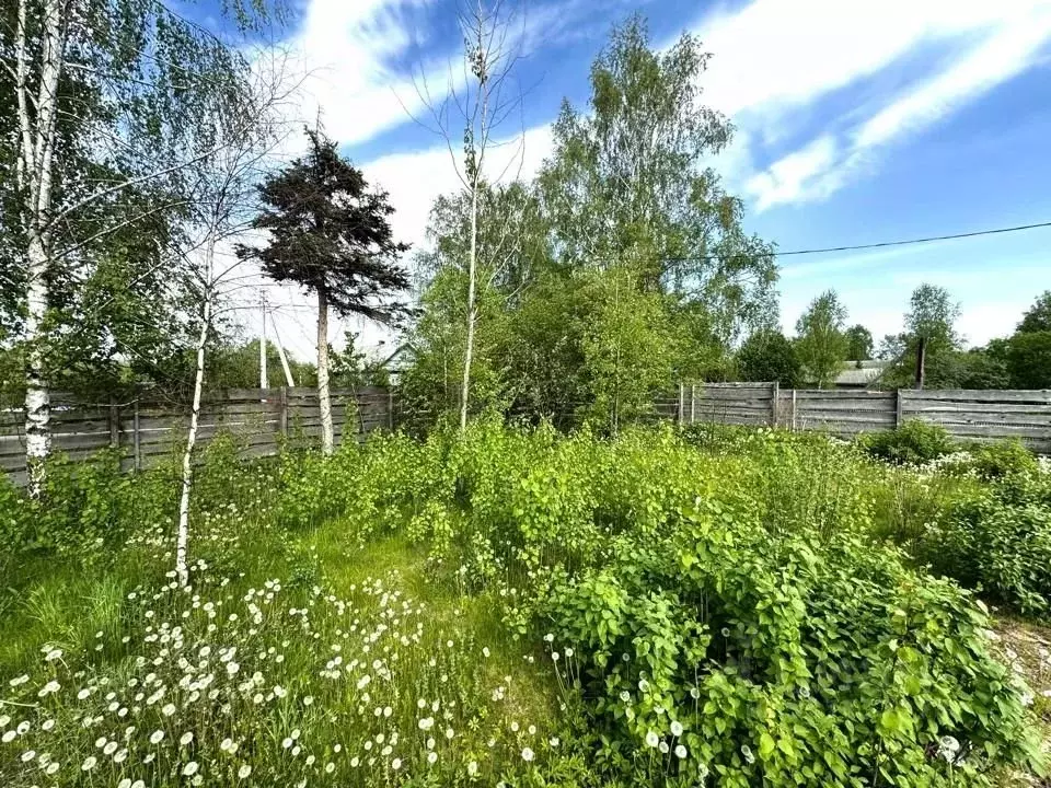 Участок в Тверская область, Конаковский муниципальный округ, д. Дорино ... - Фото 1