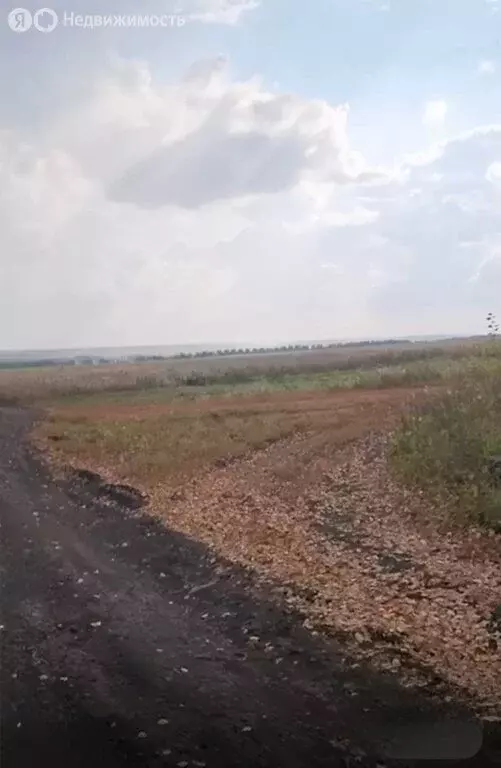 Участок в Уфимский район, Таптыковский сельсовет, село Таптыково (8.29 ... - Фото 2