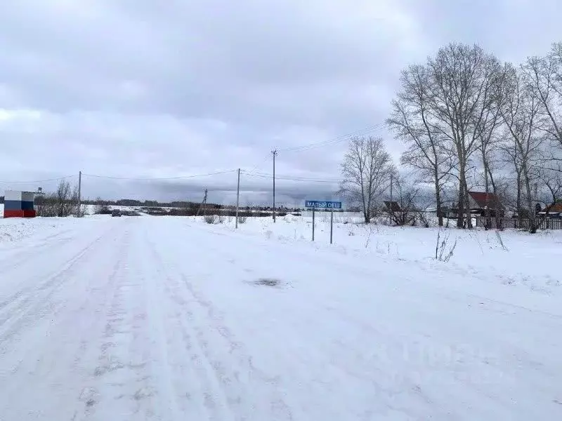 Участок в Новосибирская область, Колыванский район, д. Малый Оеш  ... - Фото 1