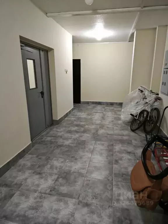 1-к кв. Псковская область, Псковский район, Писковичская волость, д. ... - Фото 2