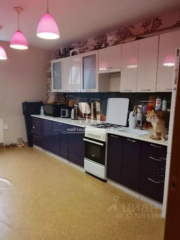 1-к кв. Калининградская область, Советск ул. Капитана Лямина, 17 (39.2 ... - Фото 2