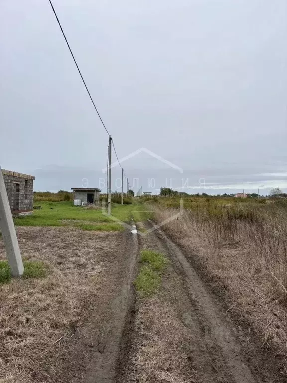 Участок в Калининградская область, Гурьевский муниципальный округ, ... - Фото 1