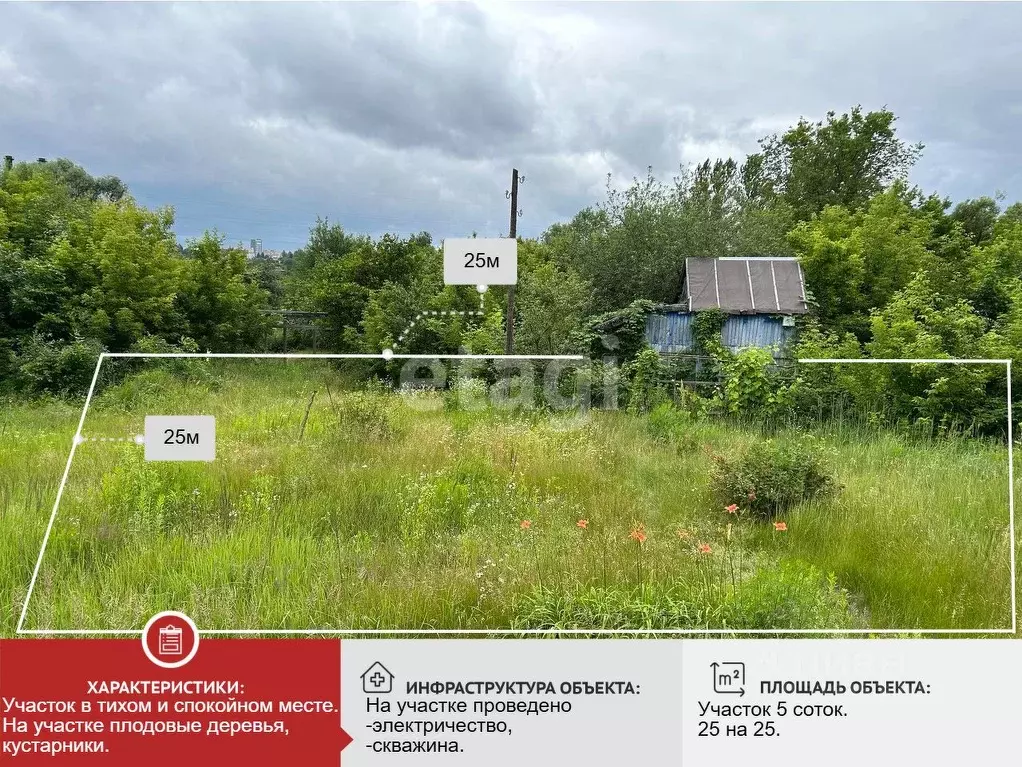 Дом в Брянская область, Брянск Десна-2 садовое общество,  (15 м) - Фото 1