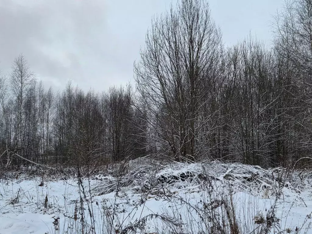 Участок в Московская область, Сергиев Посад  (14.24 сот.) - Фото 1