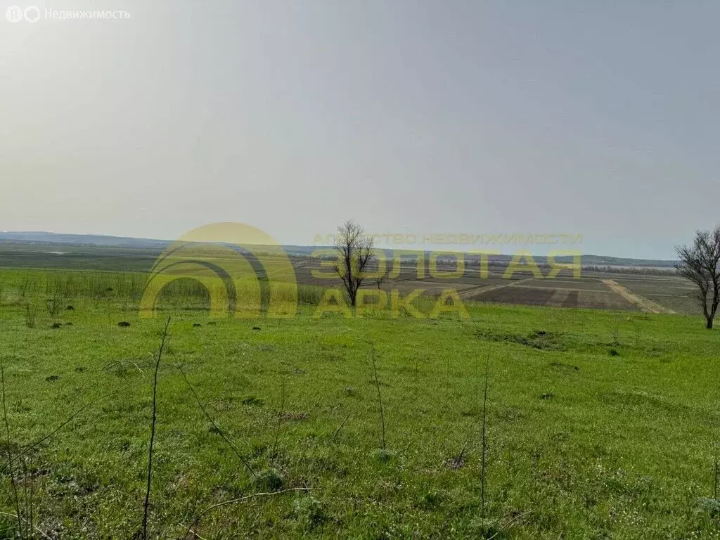 Участок в Краснодарский край, Темрюкское городское поселение, посёлок ... - Фото 1