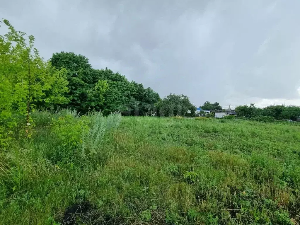 Участок в Белгородская область, Губкинский городской округ, с. Бобровы ... - Фото 2