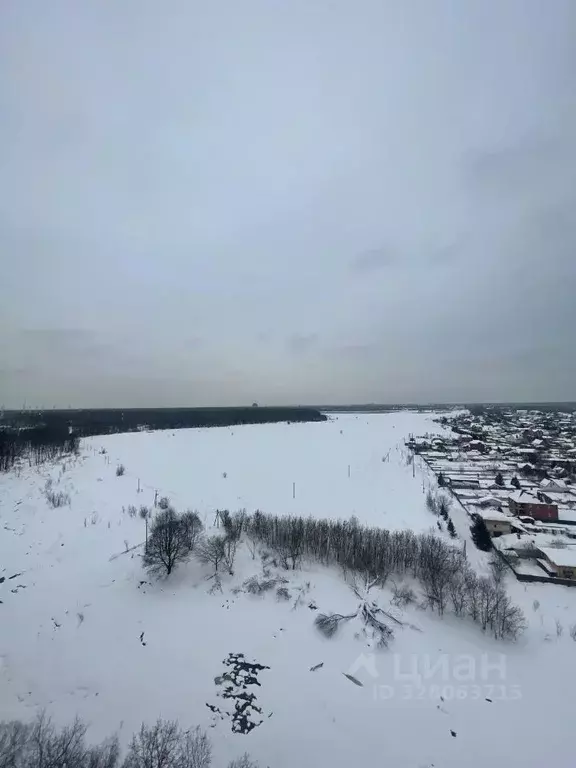 2-к кв. Московская область, Балашиха ул. Лукино, 53А (57.0 м) - Фото 2