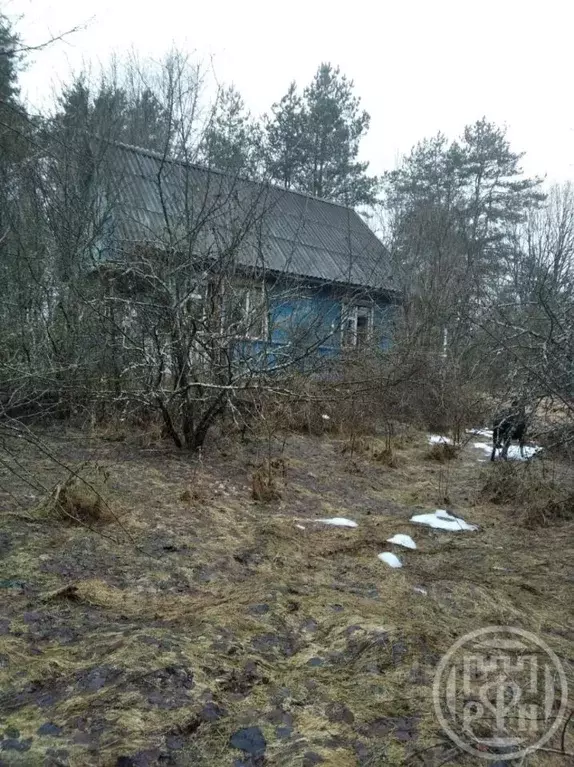 Участок в Псковская область, Пустошкинский район, Забельская волость, ... - Фото 1