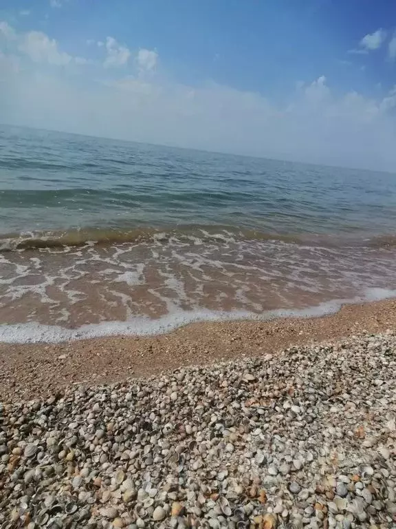 Дом в Краснодарский край, Ейский район, Камышеватская ст-ца Морская ... - Фото 0