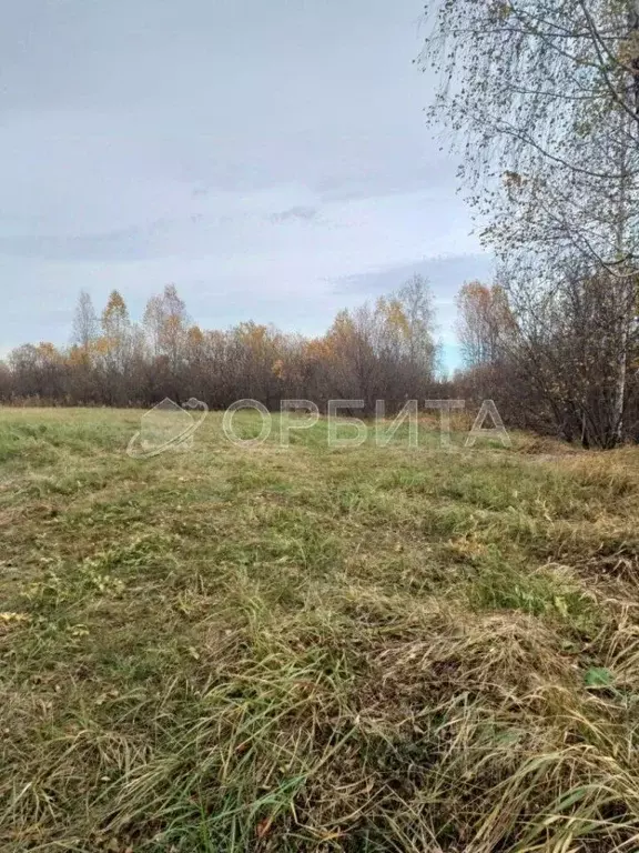 Участок в Тюменская область, Тюменский район, пос. Новотарманский ул. ... - Фото 1