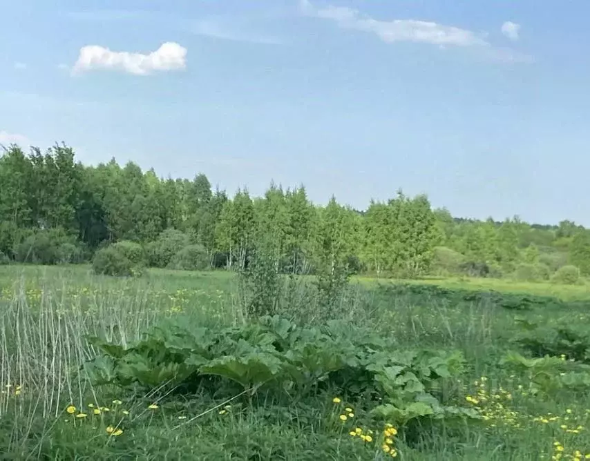Участок в Московская область, Можайский муниципальный округ, д. ... - Фото 2