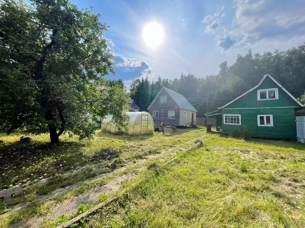 Дом в Московская область, Щелково городской округ, СНТ Дубки тер. 167 ... - Фото 1