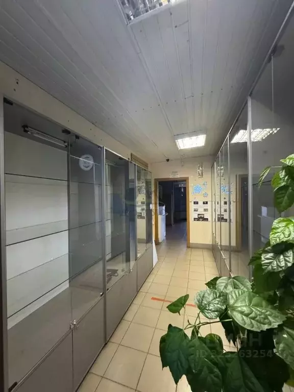 Помещение свободного назначения в Московская область, Раменское ул. ... - Фото 1