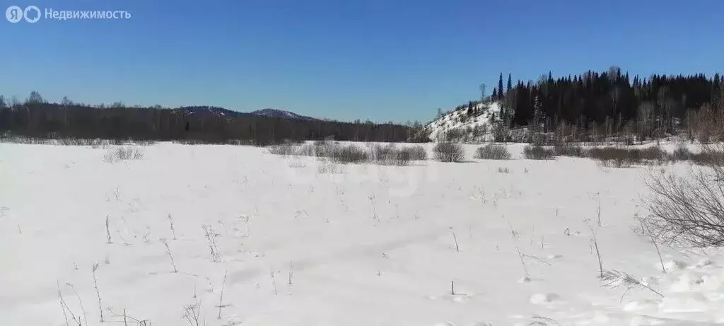 Участок в Республика Алтай, село Чоя (790.92 м) - Фото 1