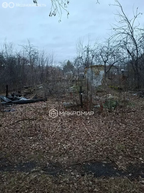 Участок в Челябинск, СНТ Дружба, 1-656 (4.31 м) - Фото 1